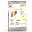 Сухой корм Royal Canin Medium Dermacomfort для взрослых средних пород 10 кг